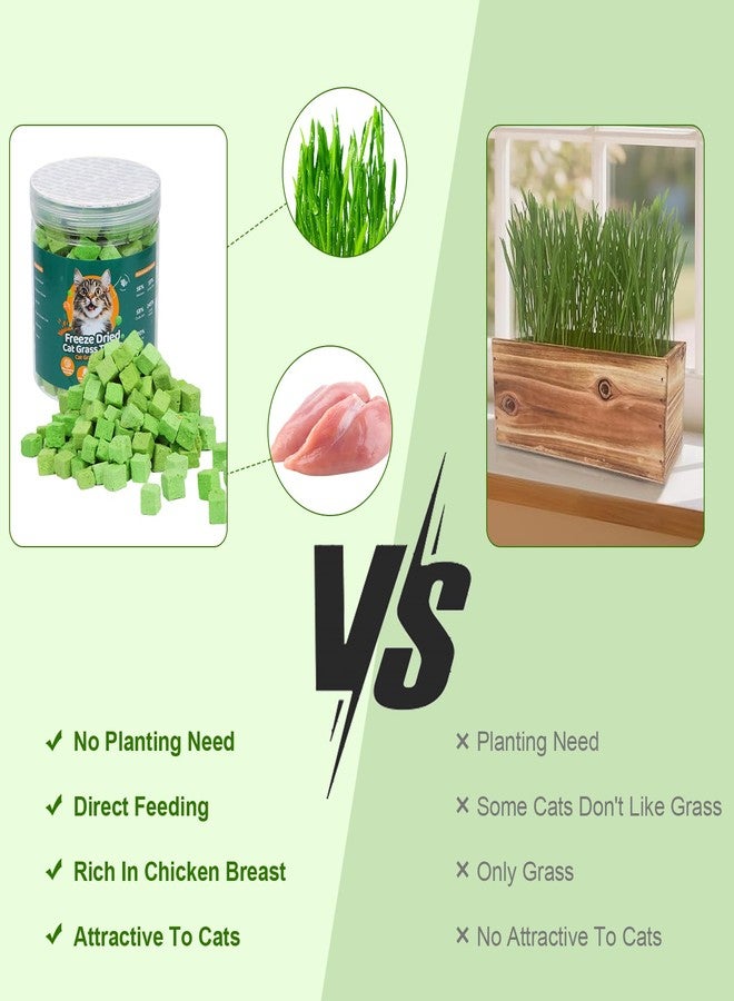 SuPruida 140g Freeze-Dried Cat Grass Treats, Natural Hairball Treatment for Cats, Edible Cats Chew Toy Cat Treats Snack for Teething Cleaning Hairball Removal - Image 4